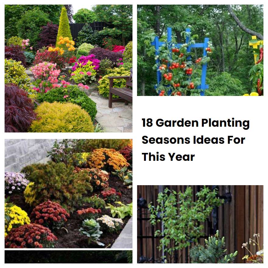 18 Garden Planting Seasons Ideas For This Year