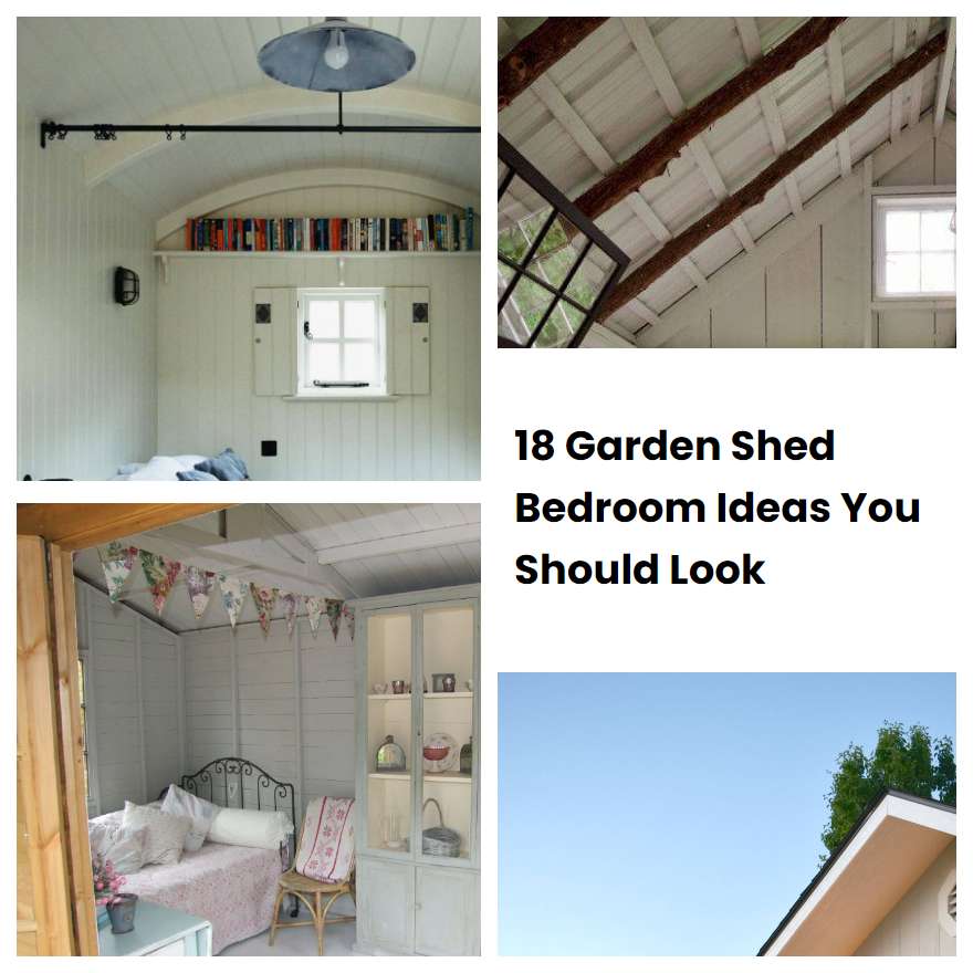 18 Garden Shed Bedroom Ideas You Should Look
