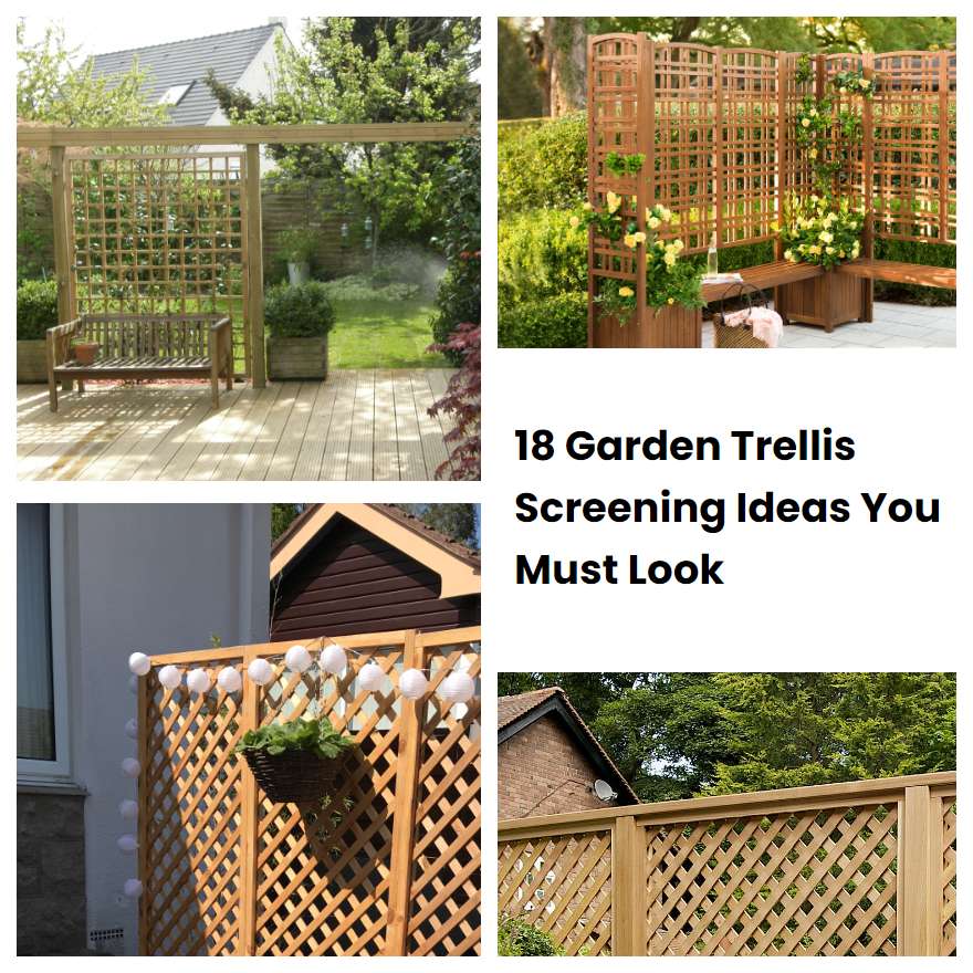 18 Garden Trellis Screening Ideas You Must Look