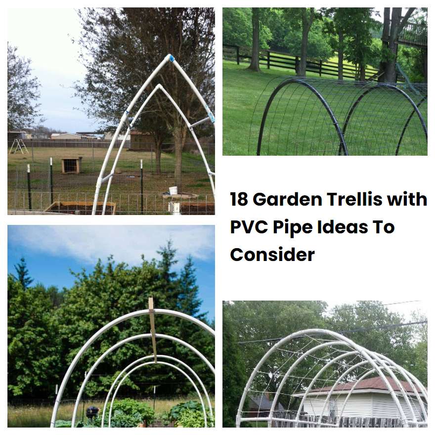 18 Garden Trellis with PVC Pipe Ideas To Consider SharonSable