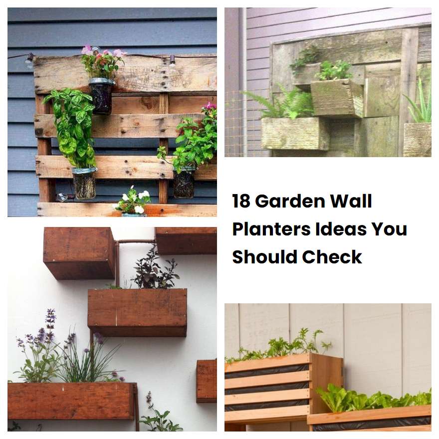 18 Garden Wall Planters Ideas You Should Check