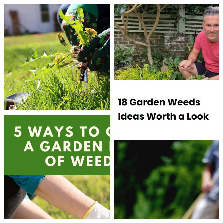 18 Garden Weeds Ideas Worth a Look