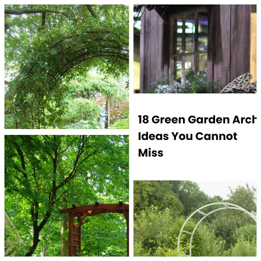 18 Green Garden Arch Ideas You Cannot Miss