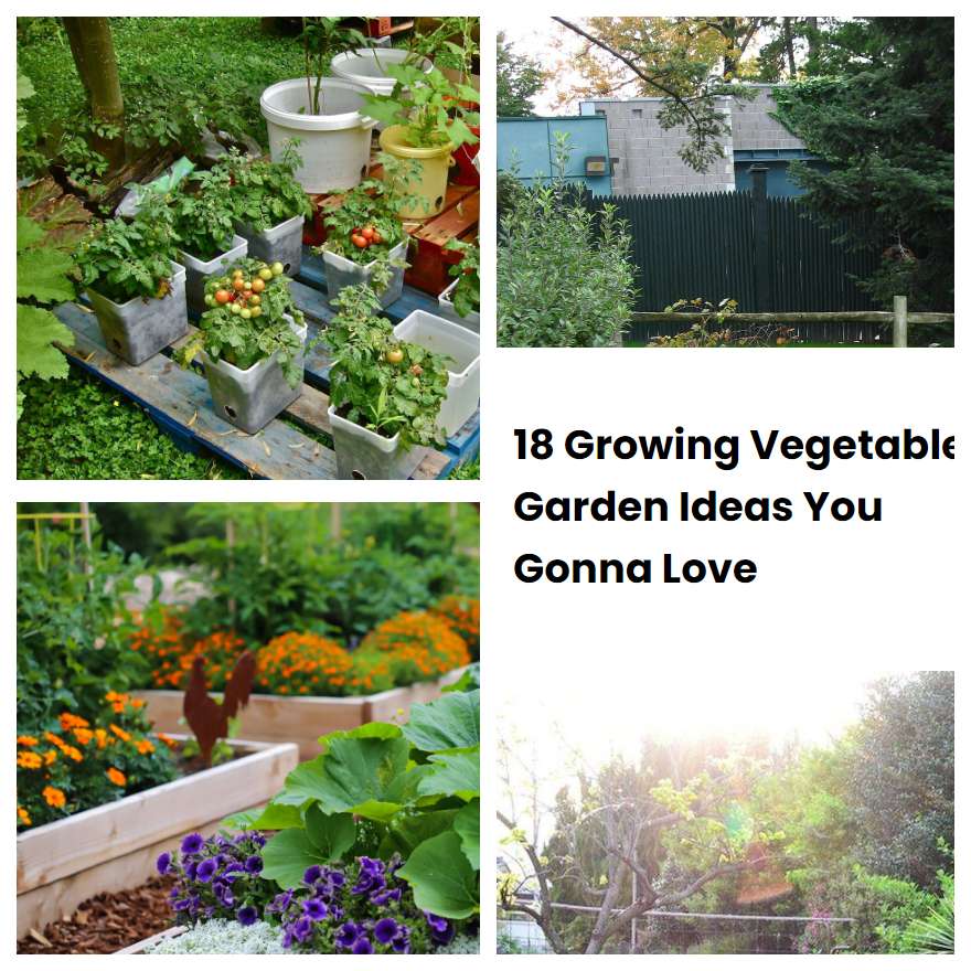 18 Growing Vegetable Garden Ideas You Gonna Love