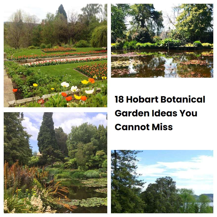 18 Hobart Botanical Garden Ideas You Cannot Miss