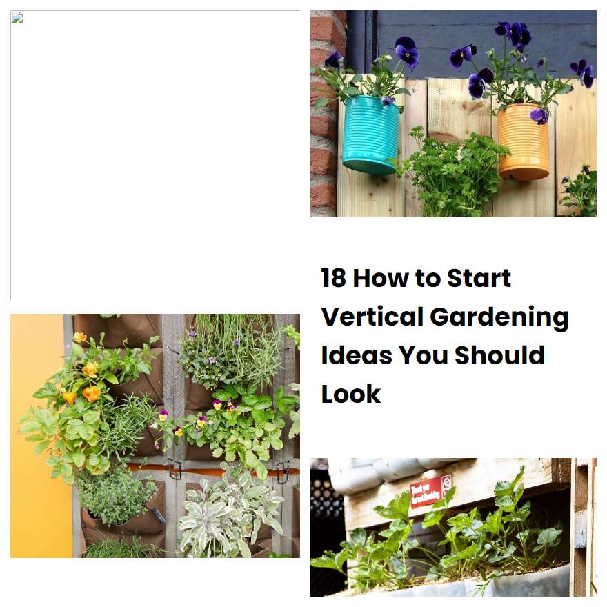 18 How to Start Vertical Gardening Ideas You Should Look