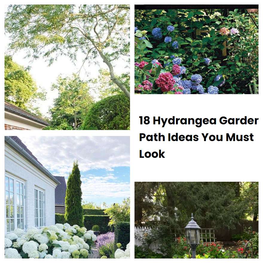 18 Hydrangea Garden Path Ideas You Must Look