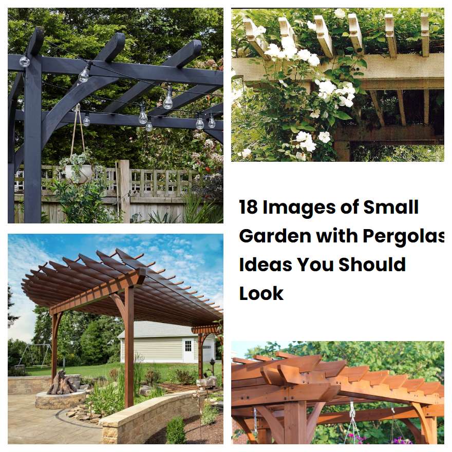 18 Images of Small Garden with Pergolas Ideas You Should Look