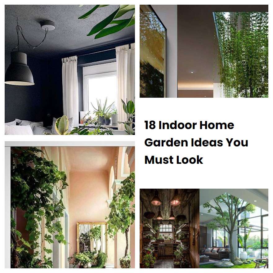 18 Indoor Home Garden Ideas You Must Look