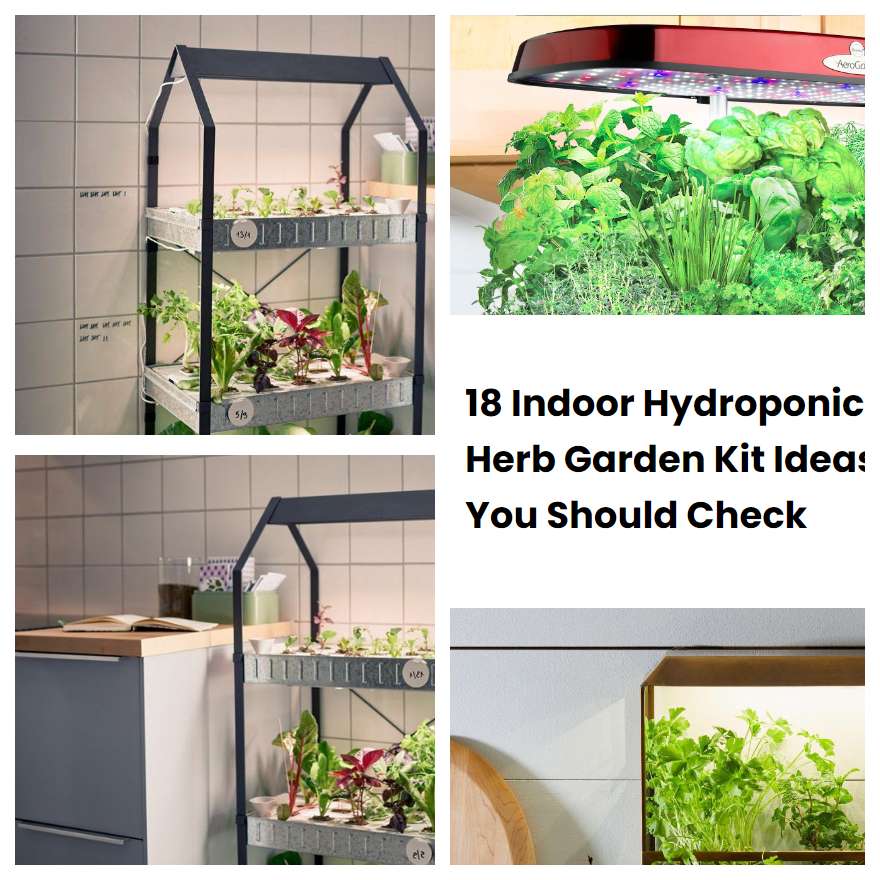 18 Indoor Hydroponic Herb Garden Kit Ideas You Should Check