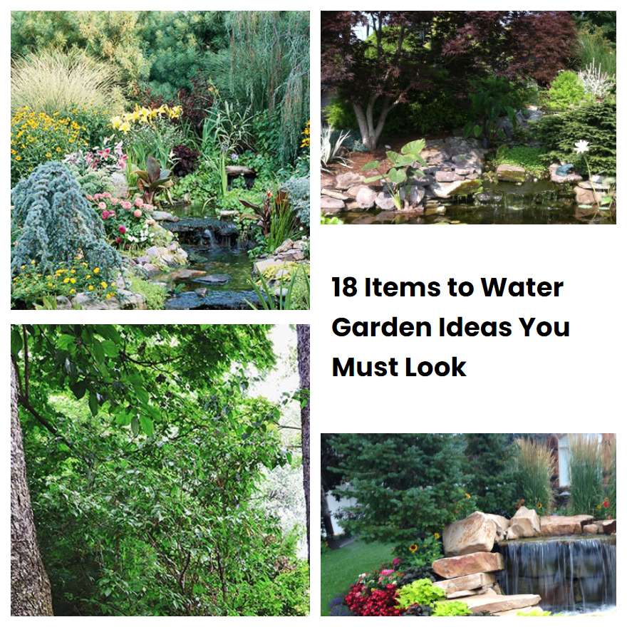 18 Items to Water Garden Ideas You Must Look SharonSable