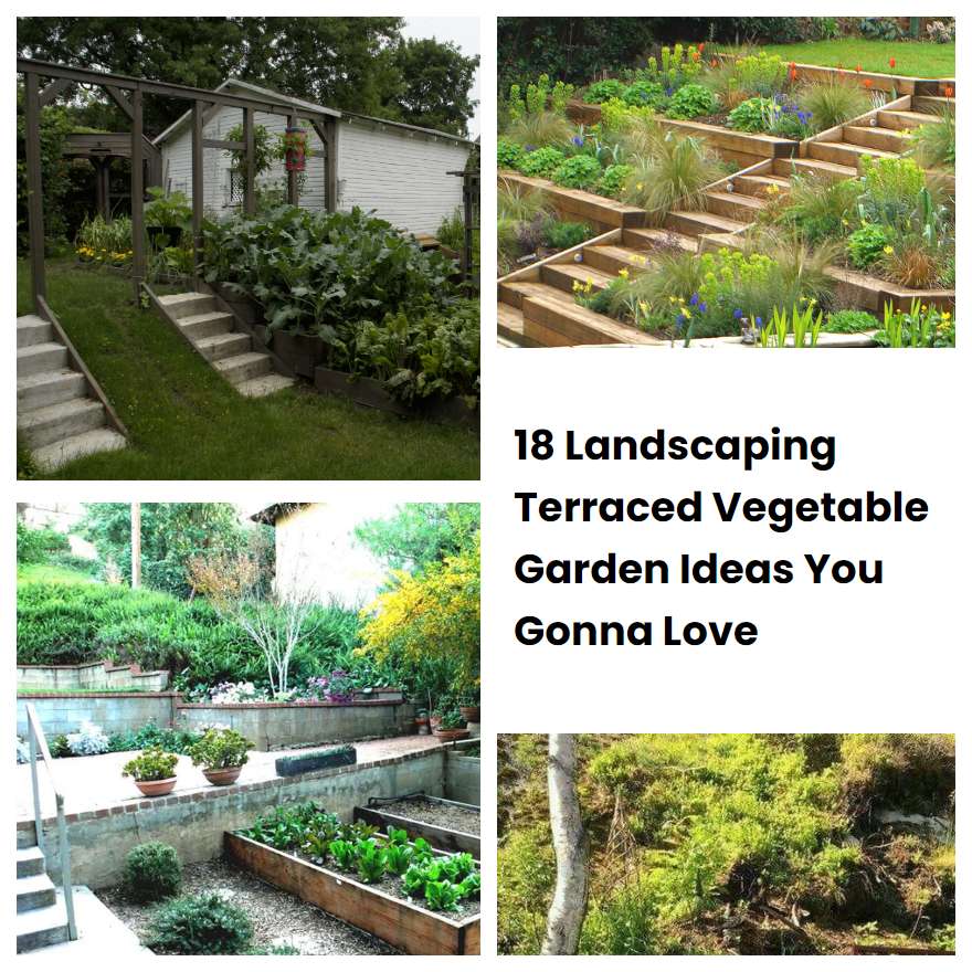 18 Landscaping Terraced Vegetable Garden Ideas You Gonna Love