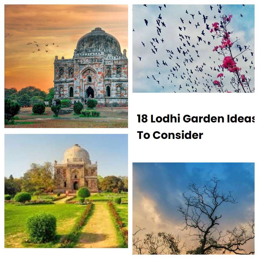 18 Lodhi Garden Ideas To Consider