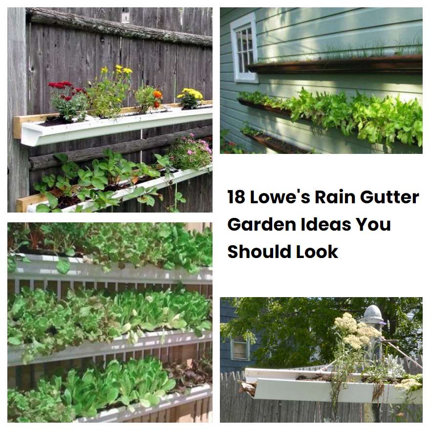 18 Lowes Rain Gutter Garden Ideas You Should Look SharonSable