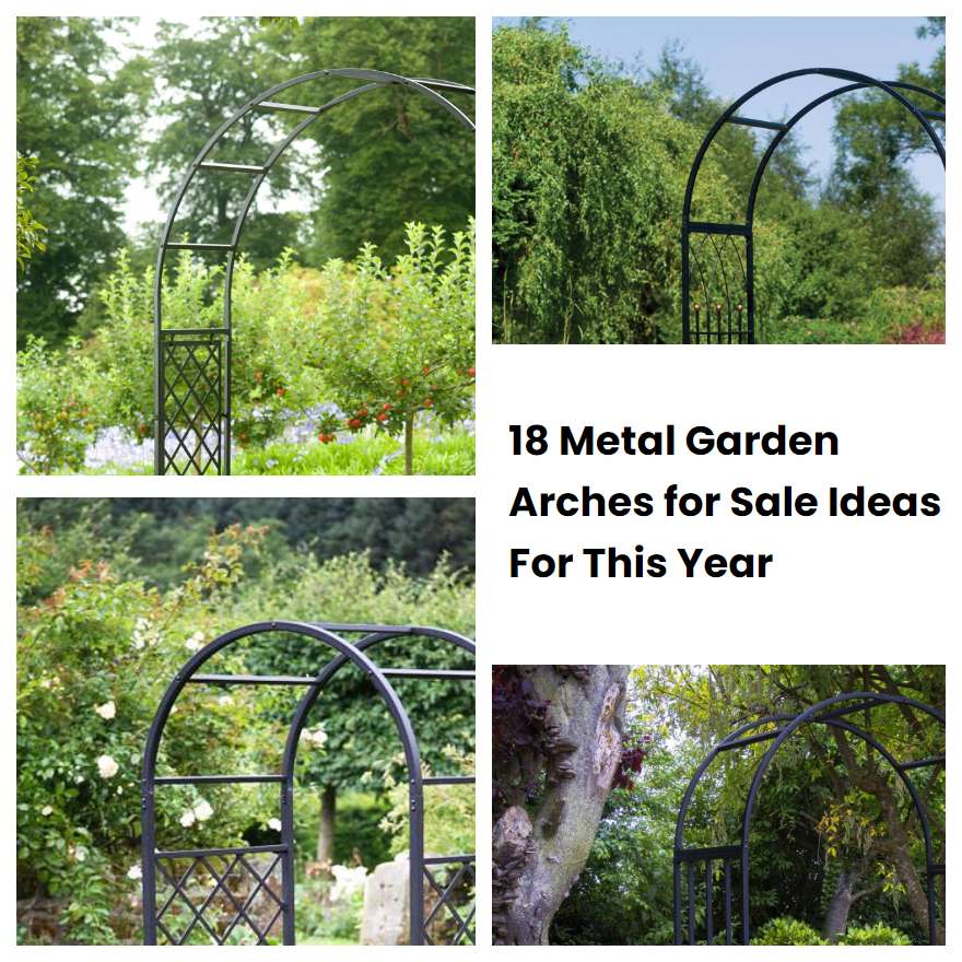 18 Metal Garden Arches for Sale Ideas For This Year