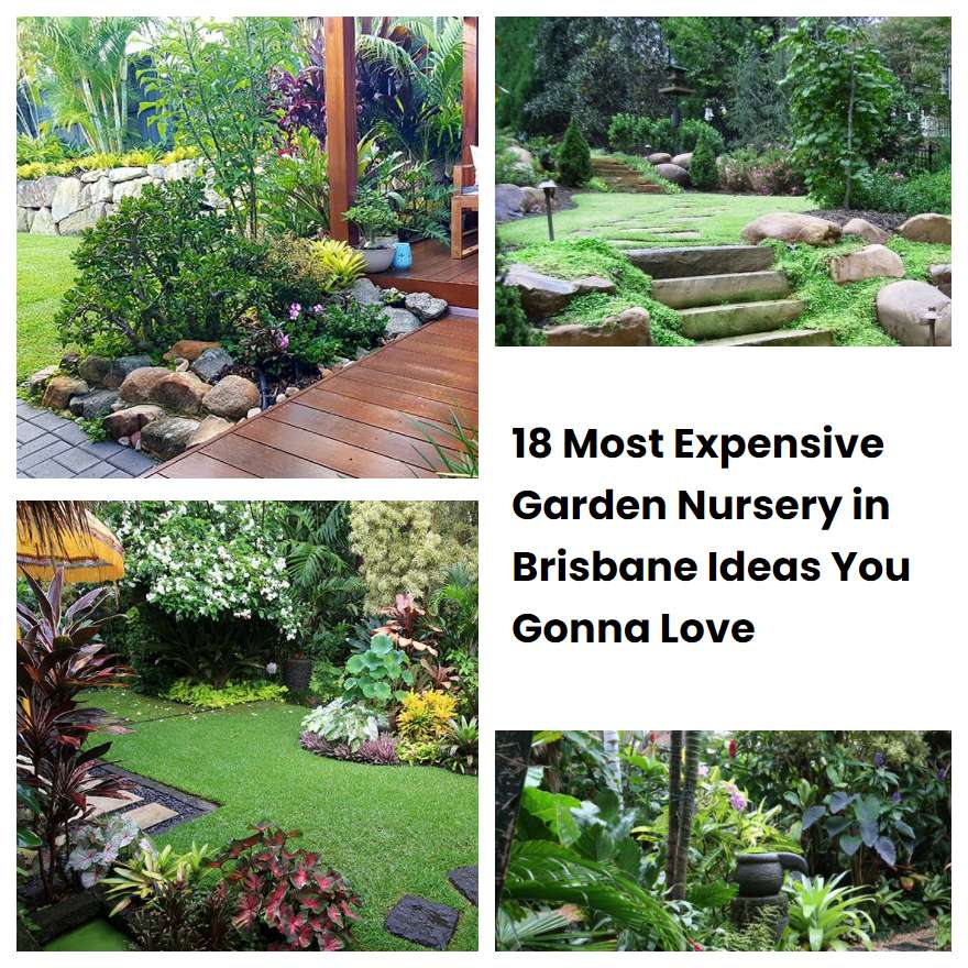 18 Most Expensive Garden Nursery in Brisbane Ideas You Gonna Love