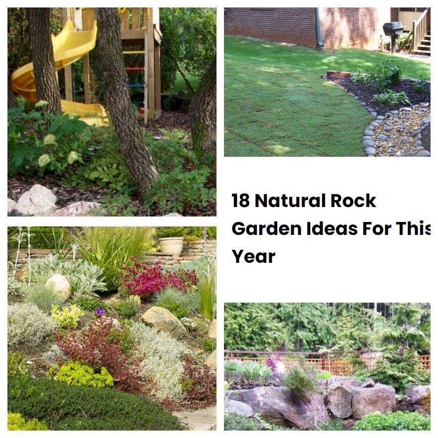 18 Natural Rock Garden Ideas For This Year