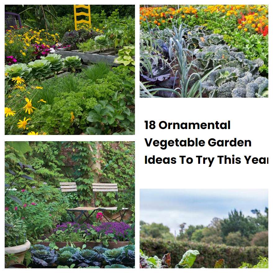 18 Ornamental Vegetable Garden Ideas To Try This Year