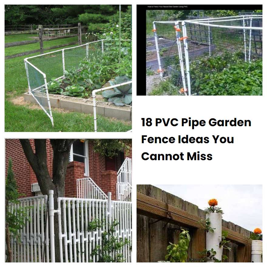18 PVC Pipe Garden Fence Ideas You Cannot Miss SharonSable