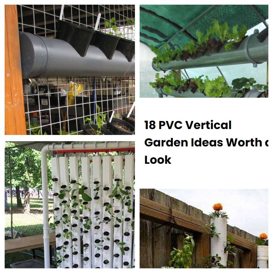18 PVC Vertical Garden Ideas Worth a Look SharonSable