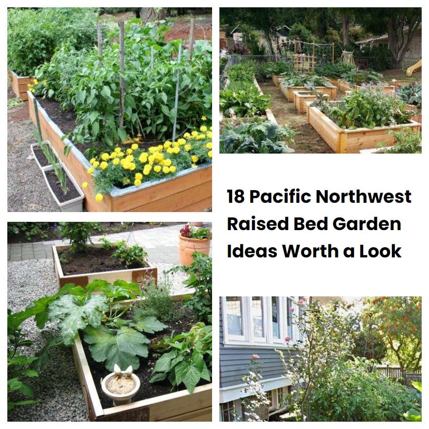 18 Pacific Northwest Raised Bed Garden Ideas Worth a Look