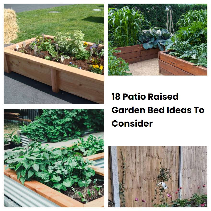 18 Patio Raised Garden Bed Ideas To Consider | SharonSable