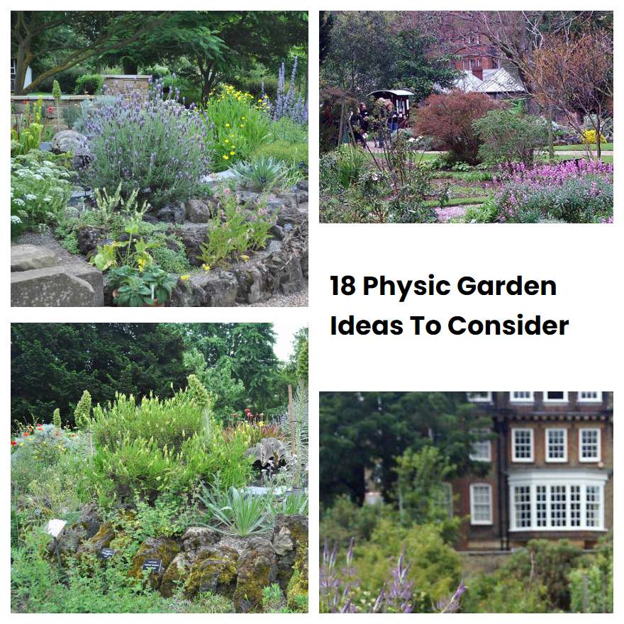 18 Physic Garden Ideas To Consider