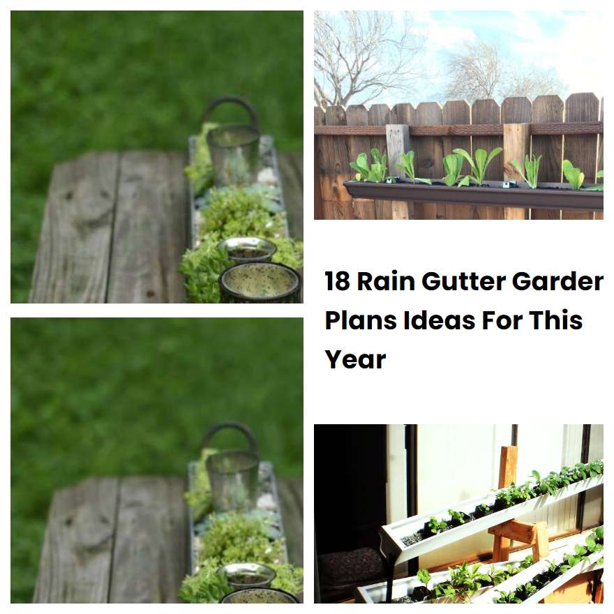 18 Rain Gutter Garden Plans Ideas For This Year
