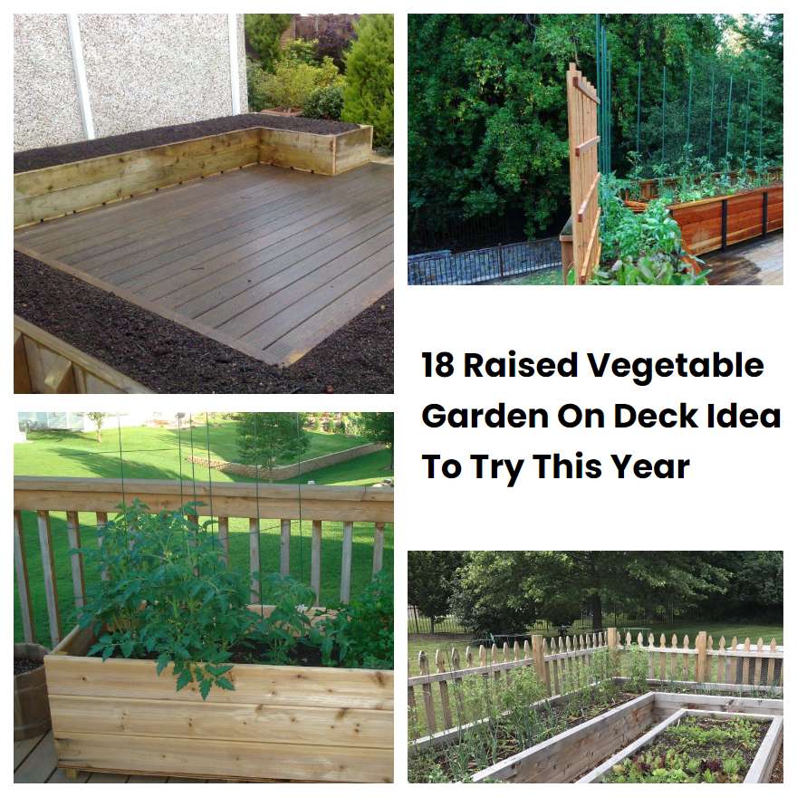 18 Raised Vegetable Garden On Deck Ideas To Try This Year