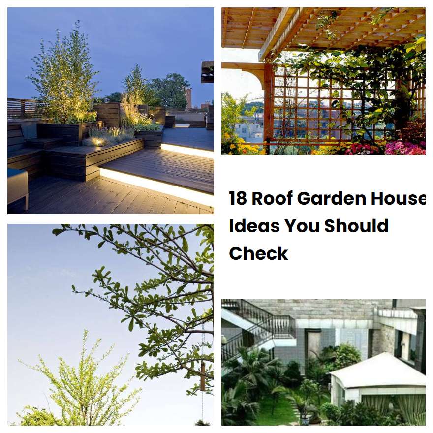 18 Roof Garden House Ideas You Should Check SharonSable