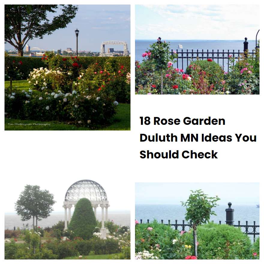 18 Rose Garden Duluth MN Ideas You Should Check SharonSable