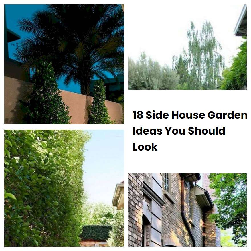 18 Side House Garden Ideas You Should Look