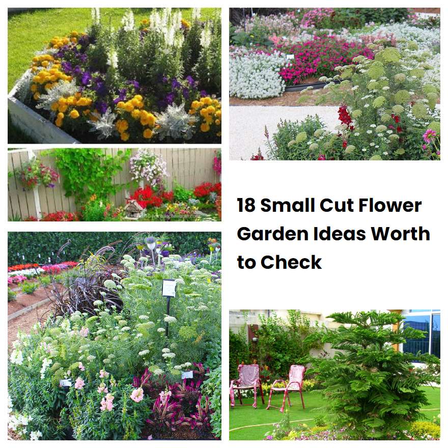 18 Small Cut Flower Garden Ideas Worth to Check