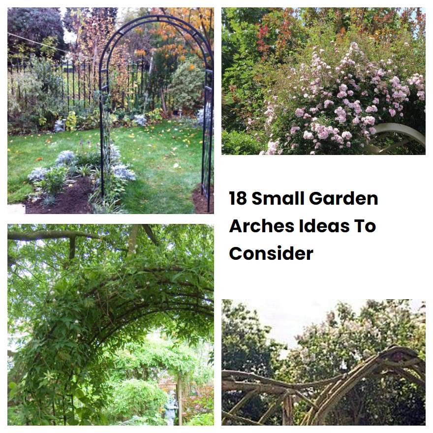 18 Small Garden Arches Ideas To Consider SharonSable