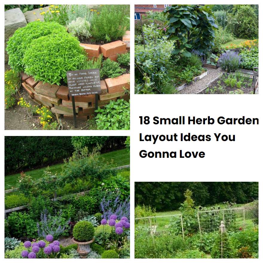 18 Small Herb Garden Layout Ideas You Gonna Love