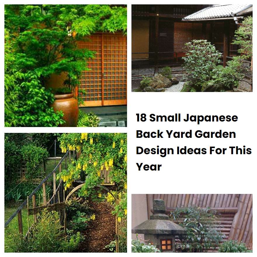 18 Small Japanese Back Yard Garden Design Ideas For This Year