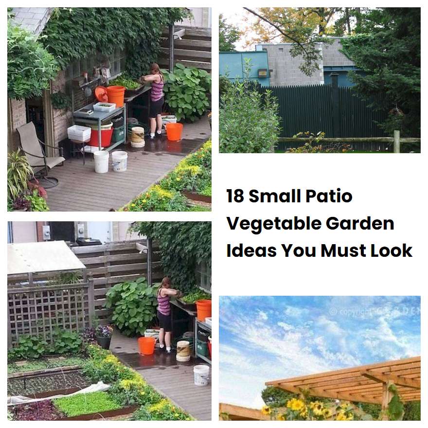 18 Small Patio Vegetable Garden Ideas You Must Look SharonSable