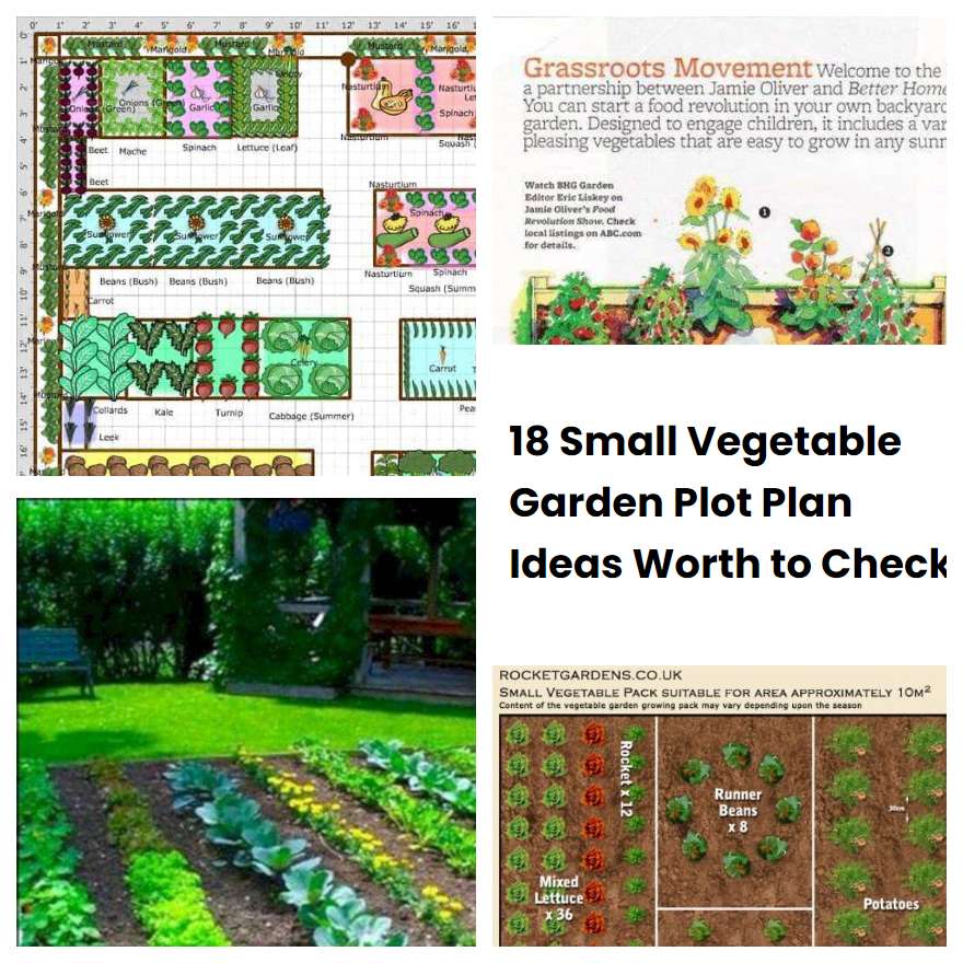 18 Small Vegetable Garden Plot Plan Ideas Worth to Check SharonSable