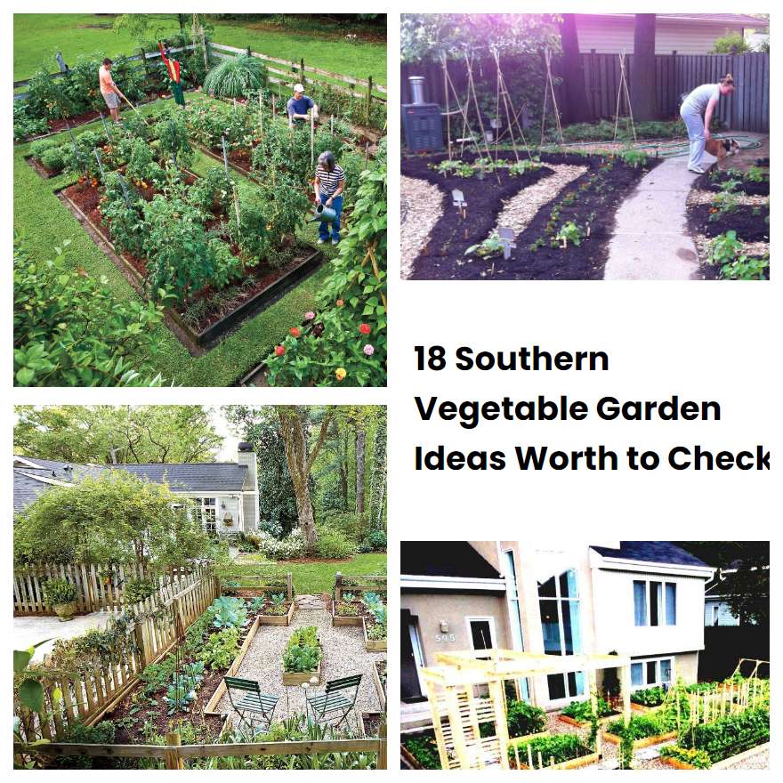18 Southern Vegetable Garden Ideas Worth to Check SharonSable