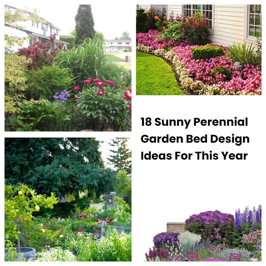 18 Sunny Perennial Garden Bed Design Ideas For This Year