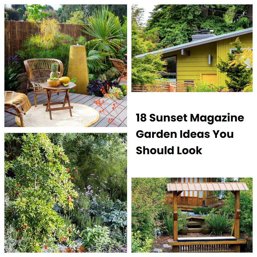 18 Sunset Magazine Garden Ideas You Should Look