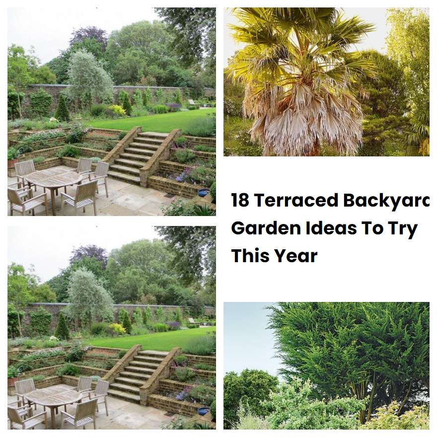 18 Terraced Backyard Garden Ideas To Try This Year