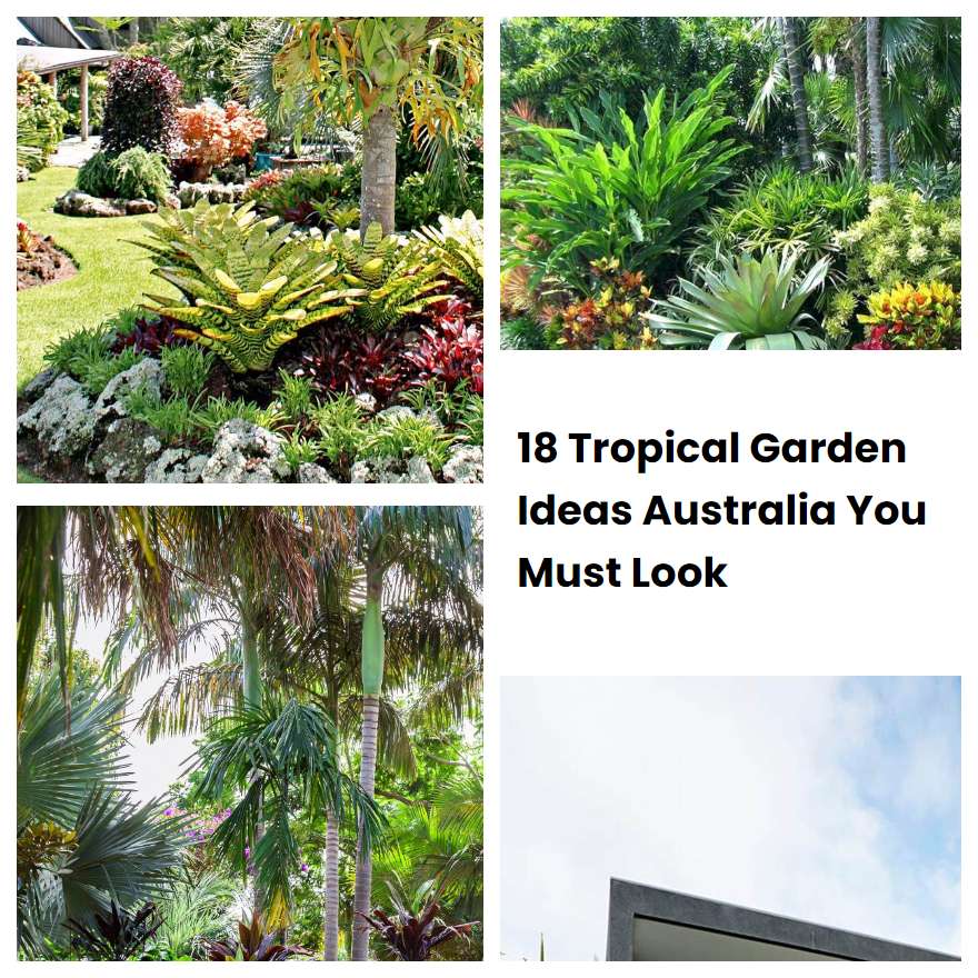 18 Tropical Garden Ideas Australia You Must Look SharonSable