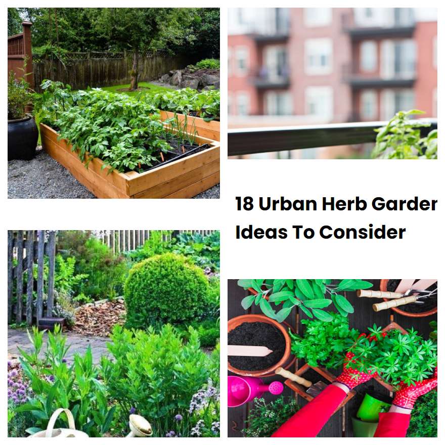 18 Urban Herb Garden Ideas To Consider SharonSable