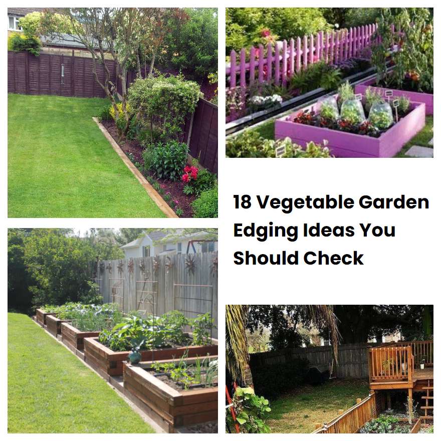 18 Vegetable Garden Edging Ideas You Should Check SharonSable