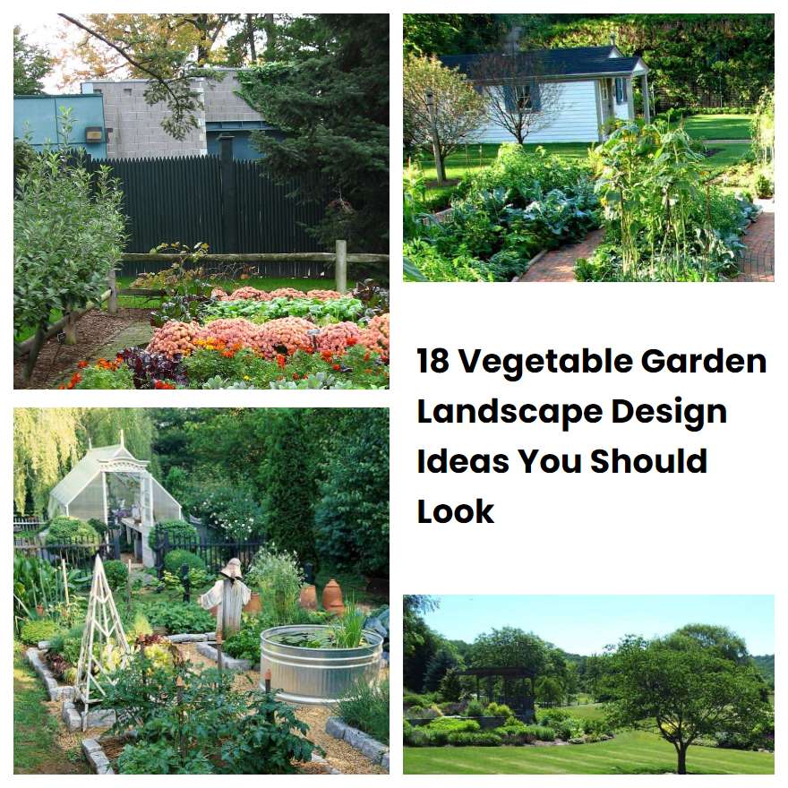 18 Vegetable Garden Landscape Design Ideas You Should Look SharonSable