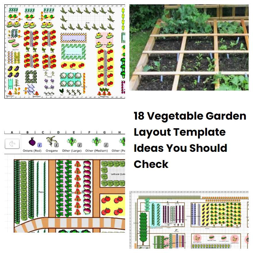 18 Vegetable Garden Layout Template Ideas You Should Check SharonSable 18 Vegetable Garden Layout Template Ideas You Should Check SharonSable