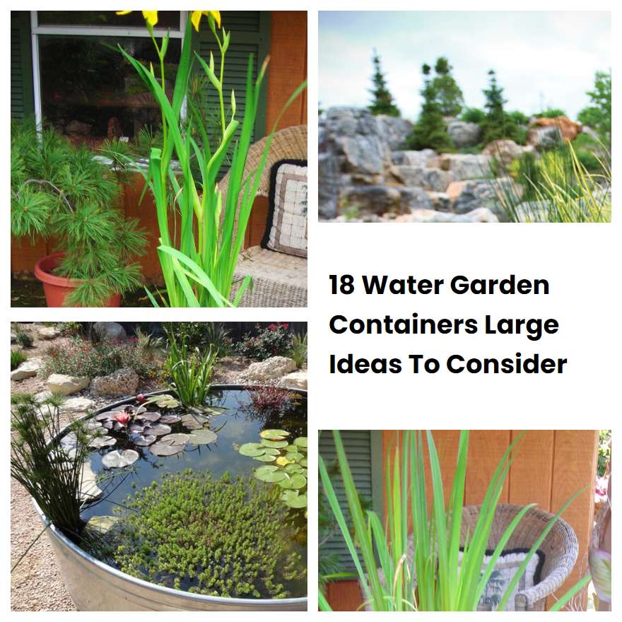 18 Water Garden Containers Large Ideas To Consider SharonSable