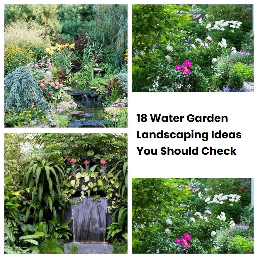 18 Water Garden Landscaping Ideas You Should Check SharonSable