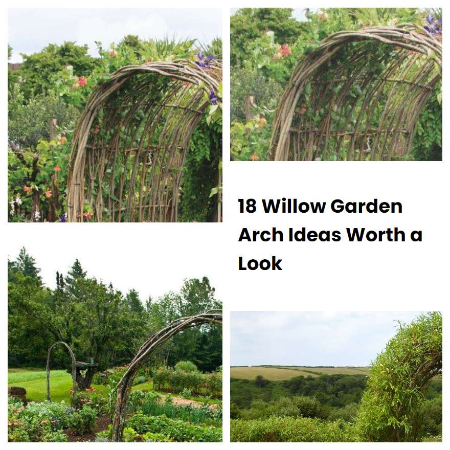18 Willow Garden Arch Ideas Worth a Look